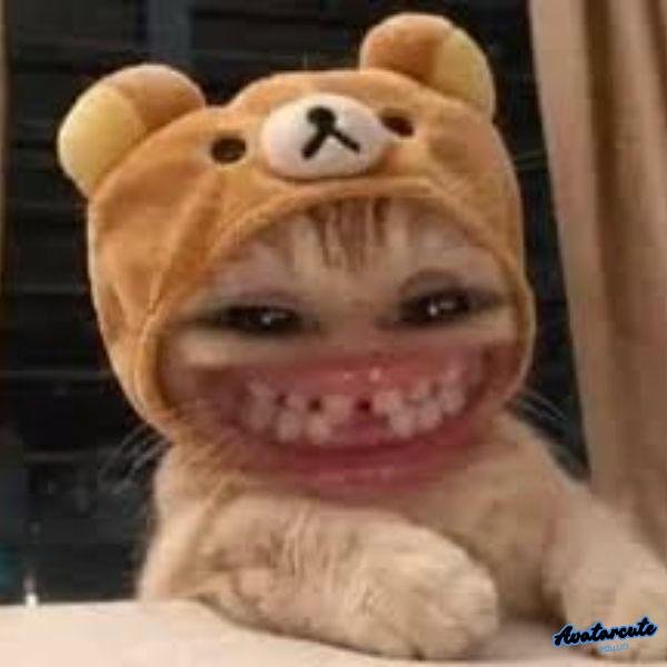 meme cười đểu 25