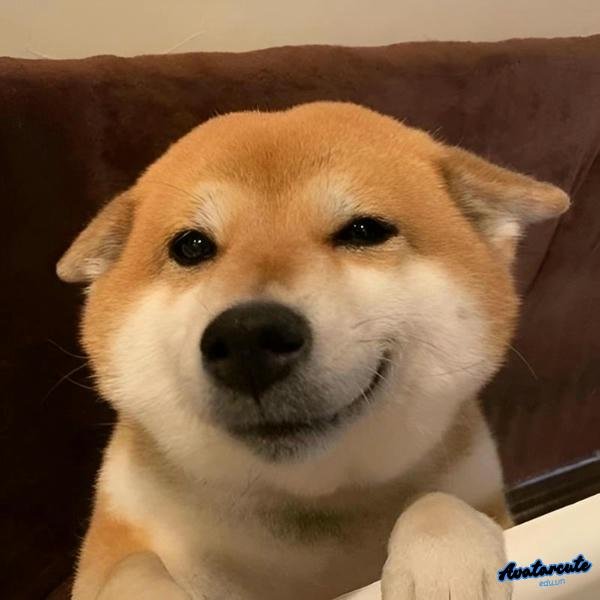 meme cười đểu 5