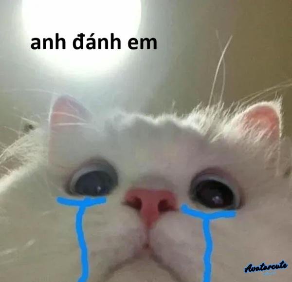 meme cười khóc 1