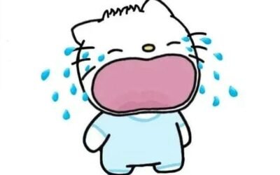 meme cười khóc 16