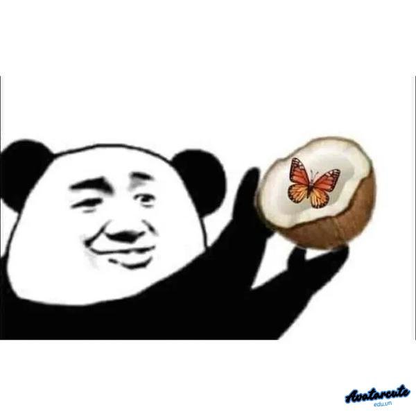 meme cười khóc 26