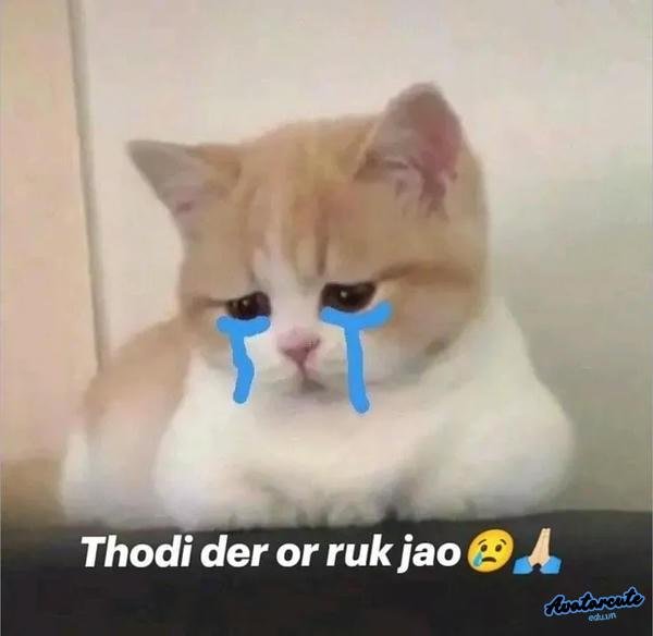 meme cười khóc 28