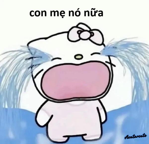 meme cười khóc 5