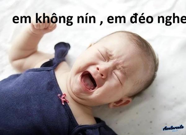 meme cười khóc 7