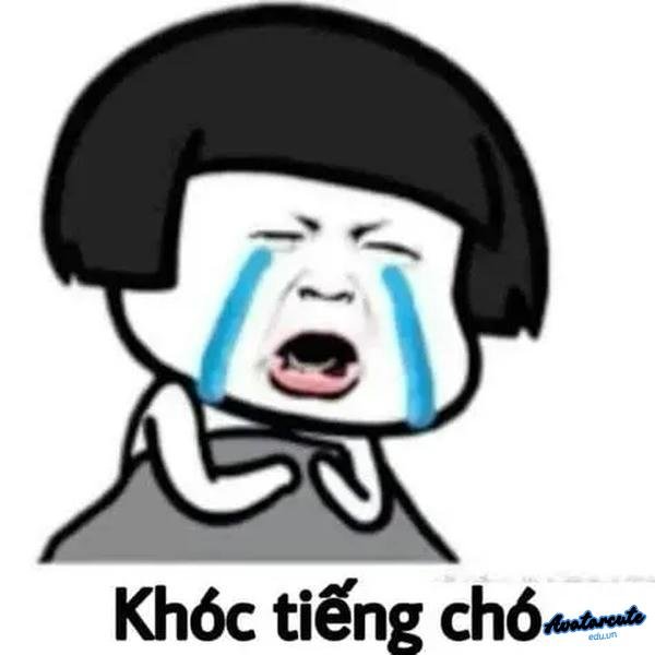 meme cười khóc 9
