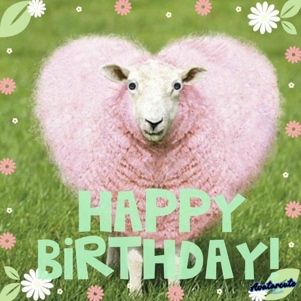 meme dễ thương 13