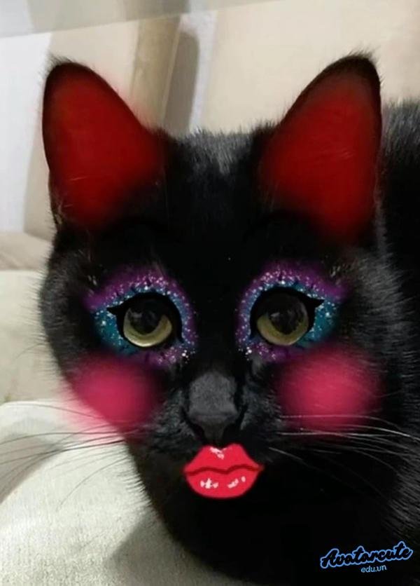 meme dễ thương 18