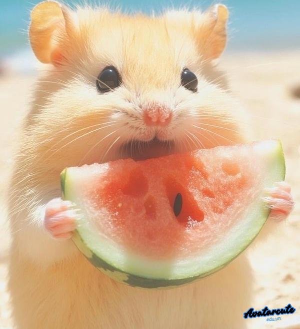 meme dễ thương 23