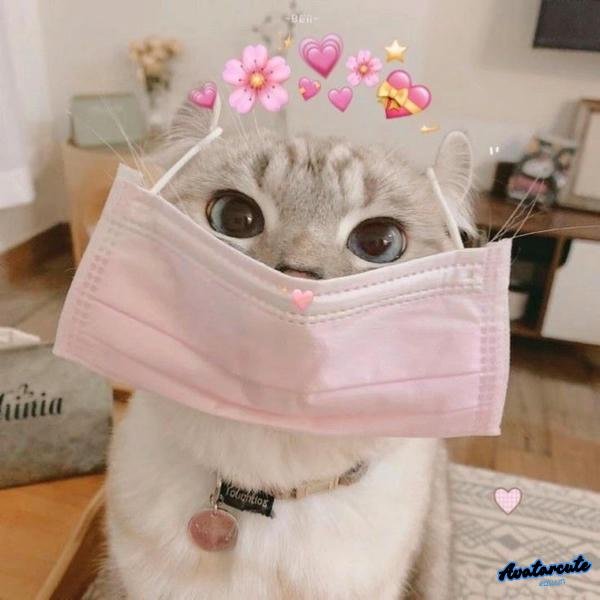 meme dễ thương 29