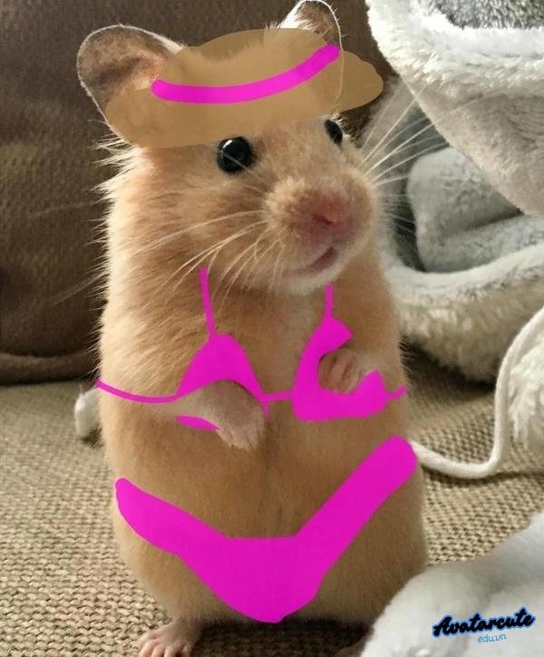 meme dễ thương 8