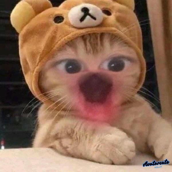 meme em không hiểu