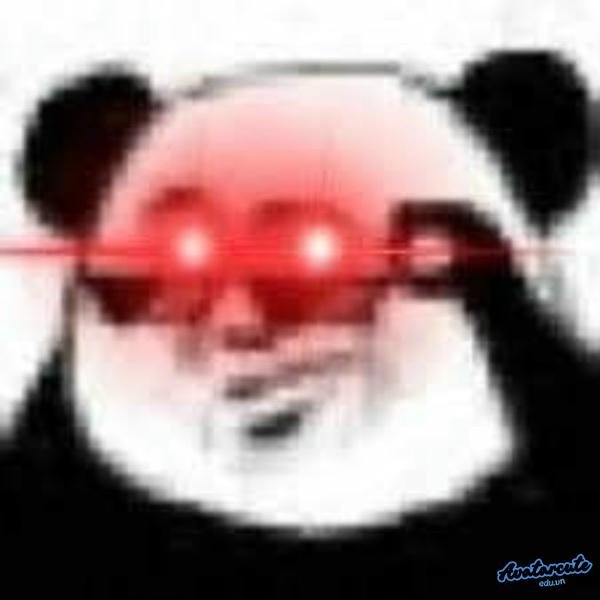 meme gấu kinh dị