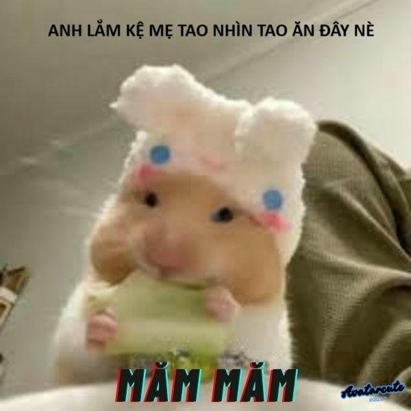 meme hamster moam moam