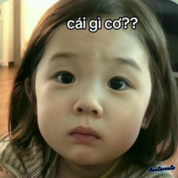 meme khó hiểu cái gì cơ