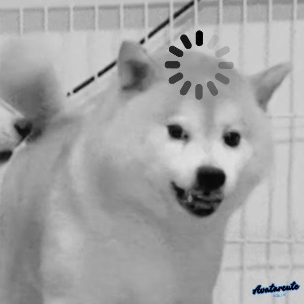 meme khó hiểu chó