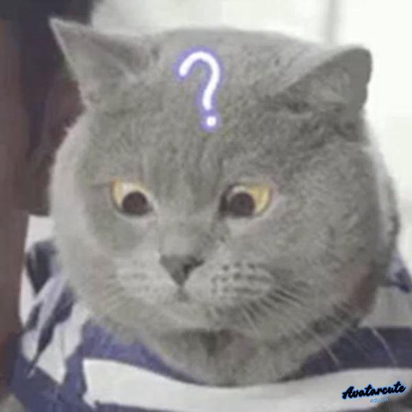 meme khó hiểu nhất