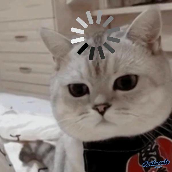 meme khó hiểu quá