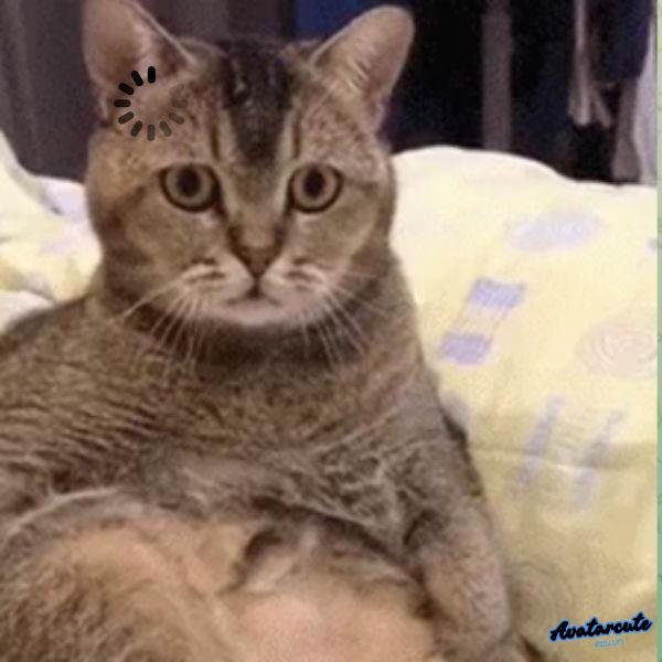 meme khó hiểu quá