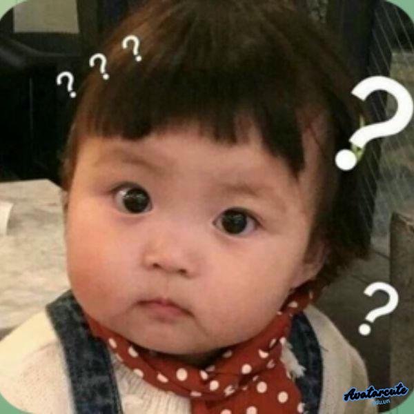 meme khó hiểu sịt keo