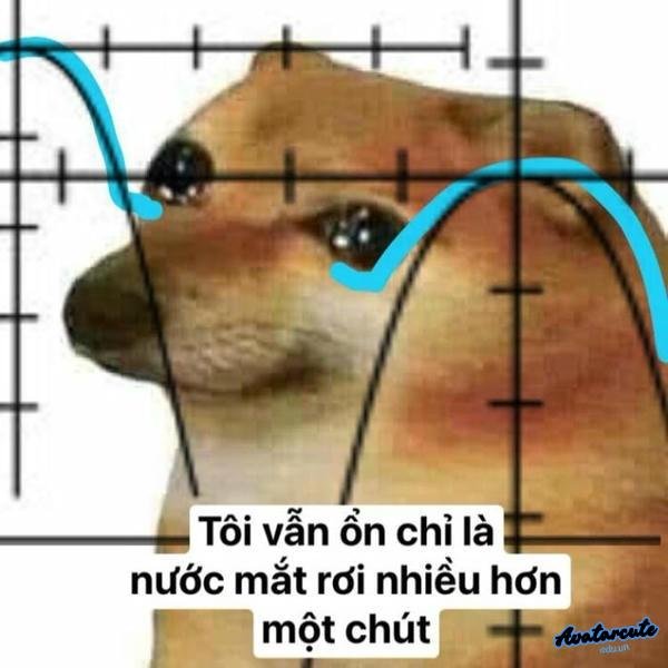 meme khóc cười