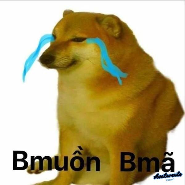 meme khóc đau khổ