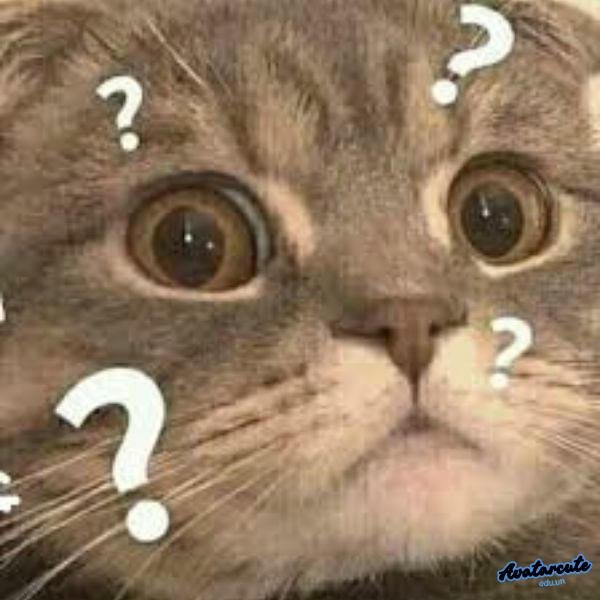 meme không hiểu chế