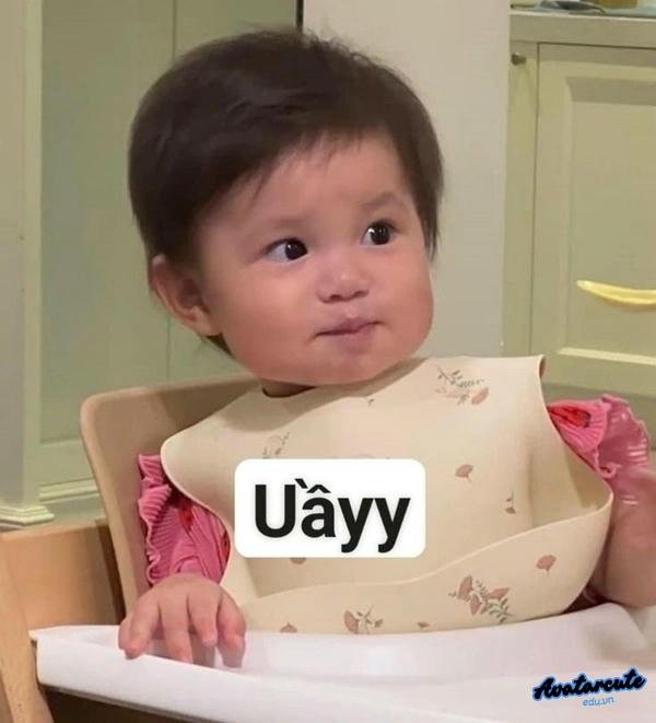 meme không hiểu gì hết