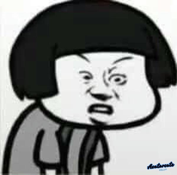 meme không hiểu kiểu gì