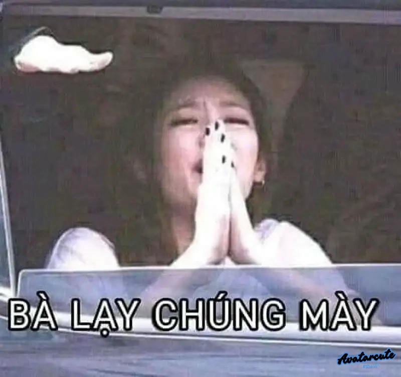 meme lạy cảm ơn