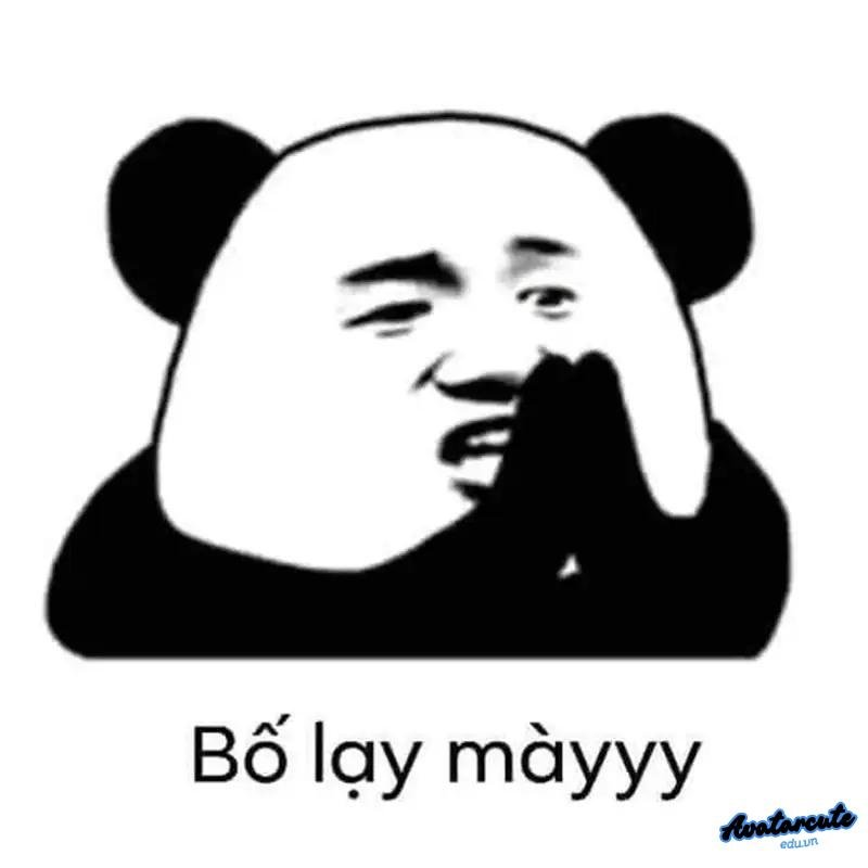 meme lạy