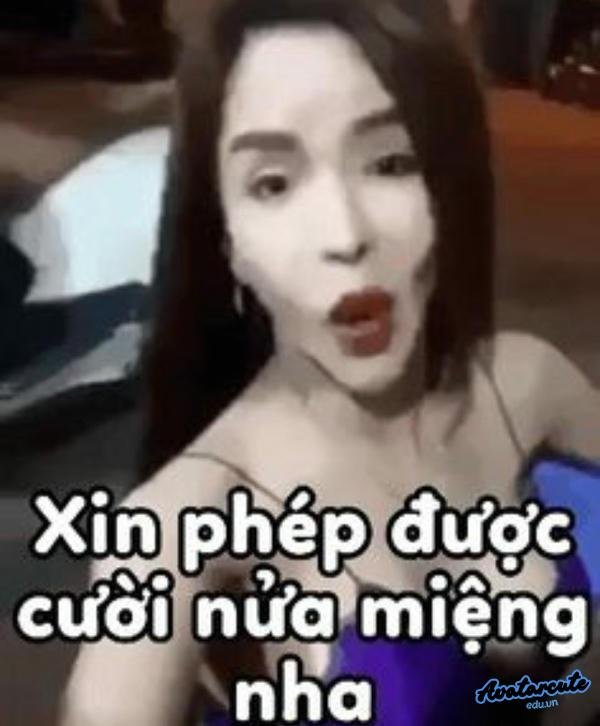 meme linda điện