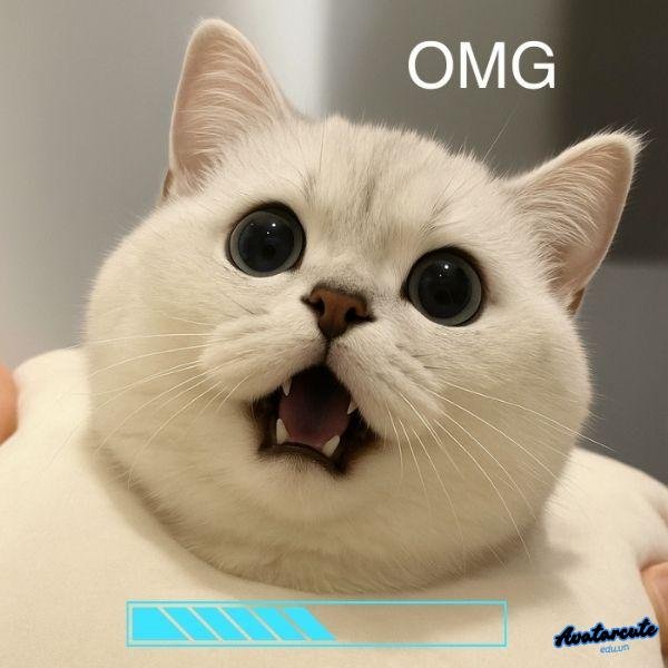 meme loading cat