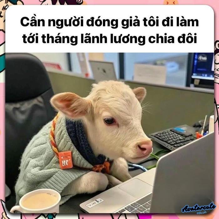 meme meaning in chinese