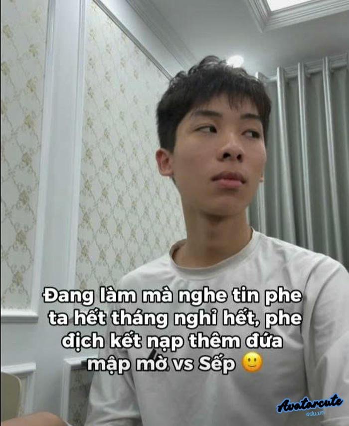 meme meaning in hindi