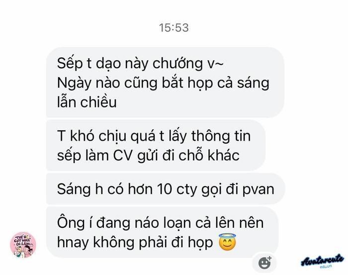 meme meaning tin nhắn