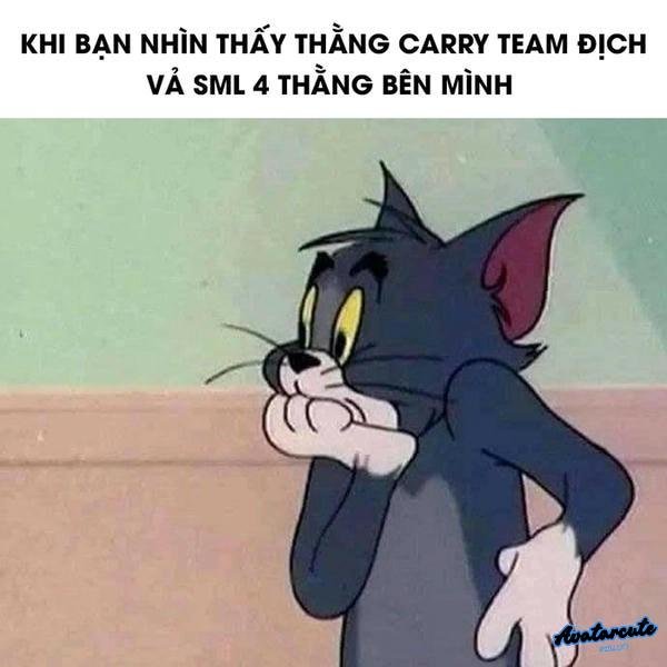 meme mèo hài