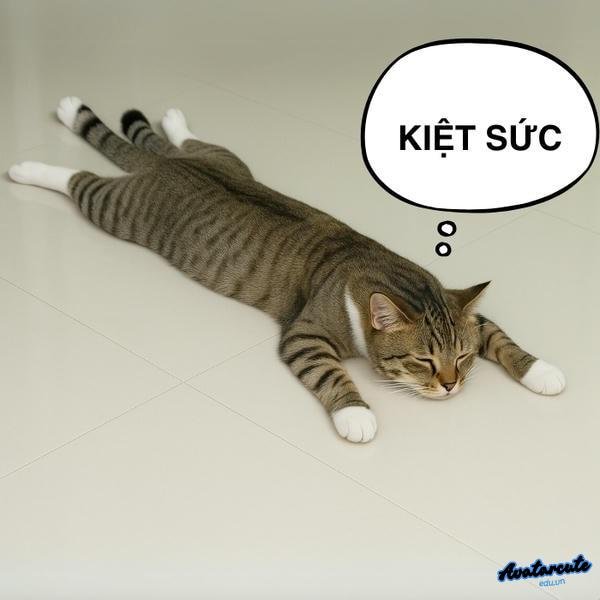 meme mệt mỏi kiệt sức
