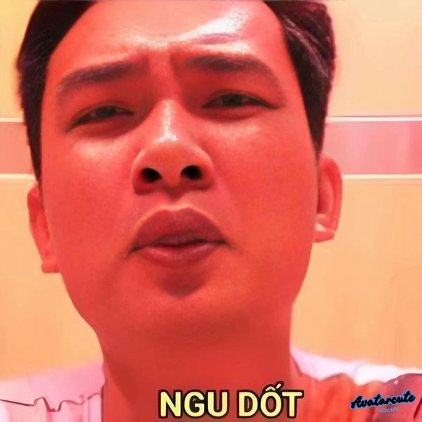 ngu rốt