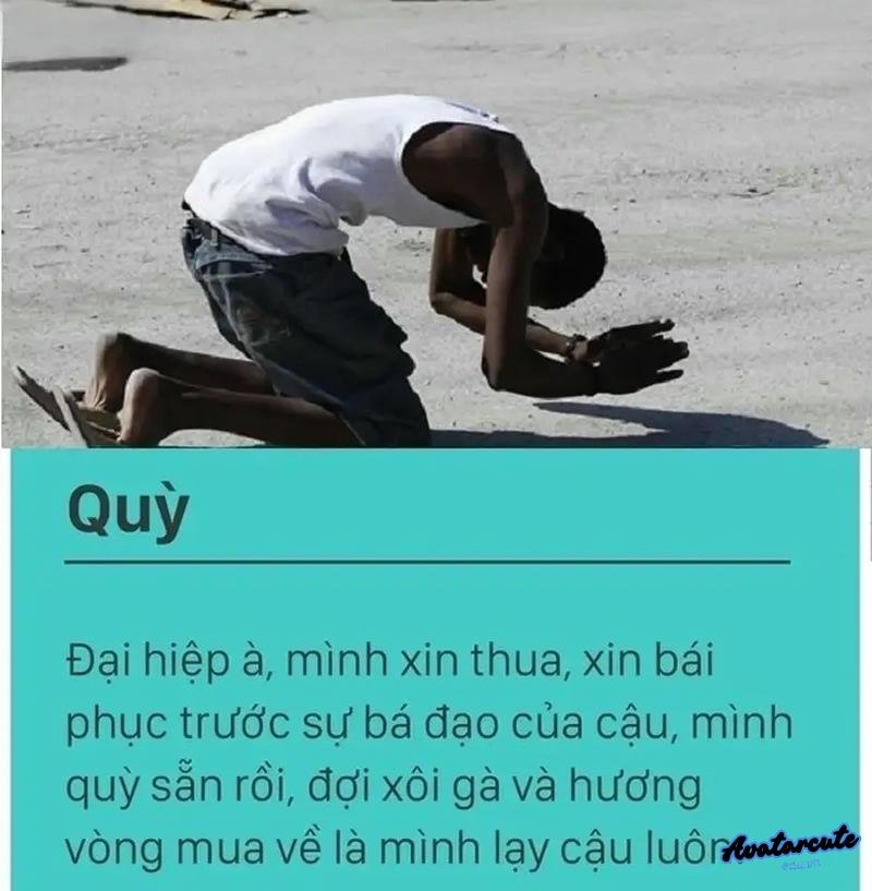 quỳ lậy