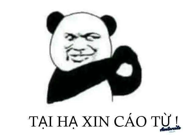 ta ha xin cao tu