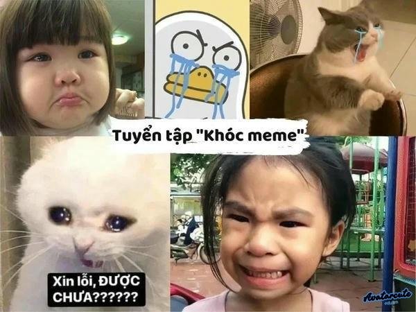 vừa cười vừa khóc meme bịp