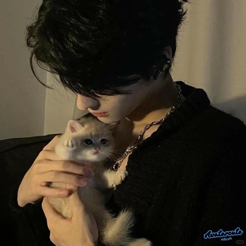 Album ảnh avatar nam mới