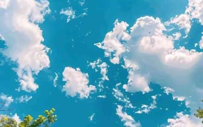 Album hình nền 2k độc quyền