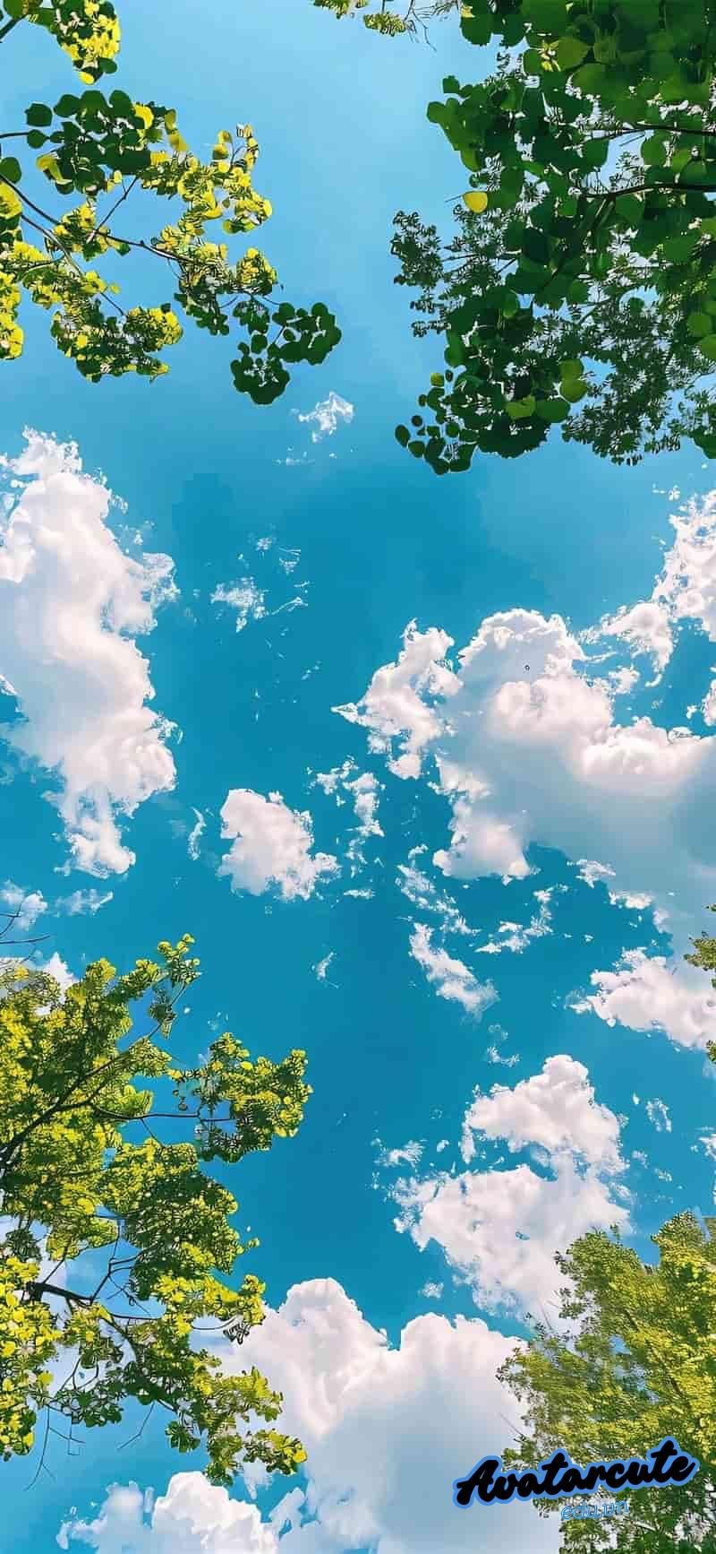 Album hình nền 2k độc quyền