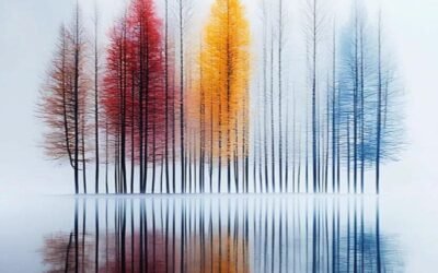 Album hình nền 8k độc quyền