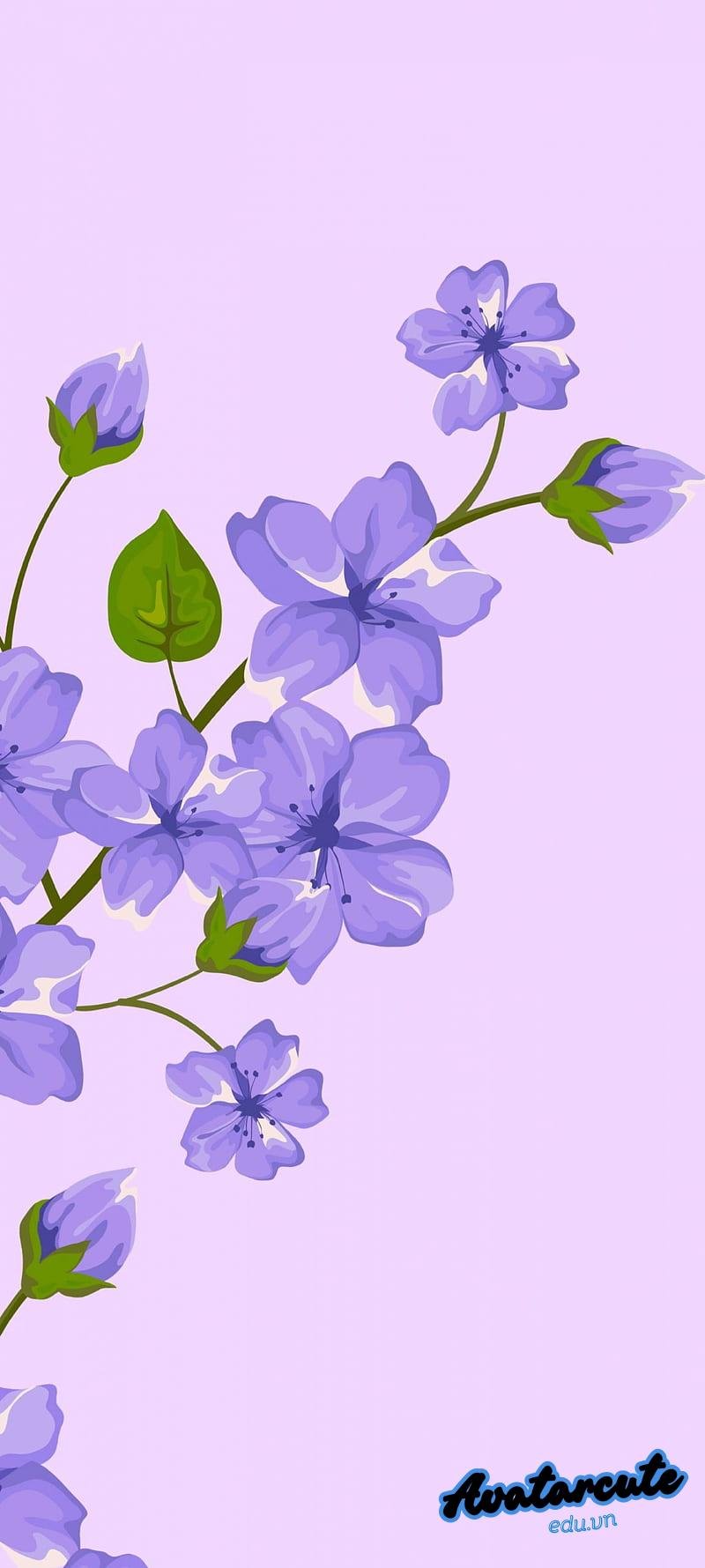 Album hình nền android mới