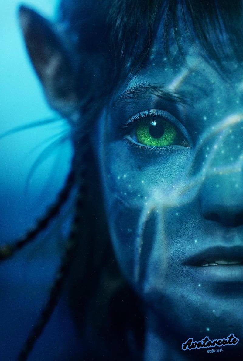 Album hình nền avatar đẹp mới