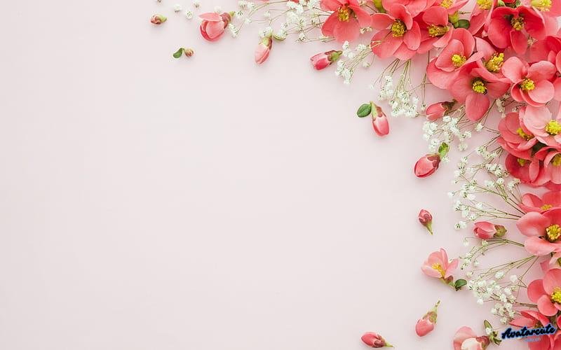 Album hình nền background mới nhất