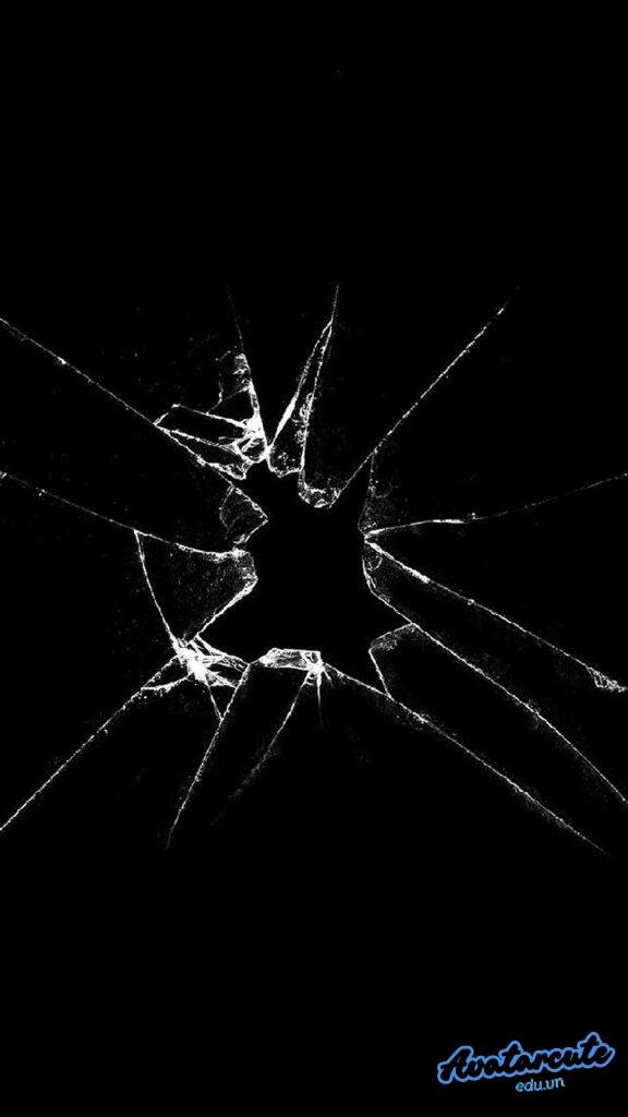 Album hình nền bể màn hình độc quyền