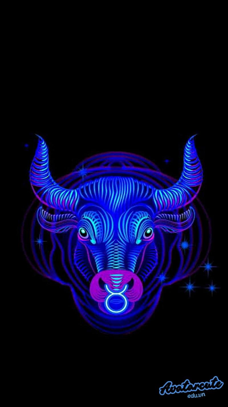 Bộ hình nền 12 cung hoàng đạo thu hút